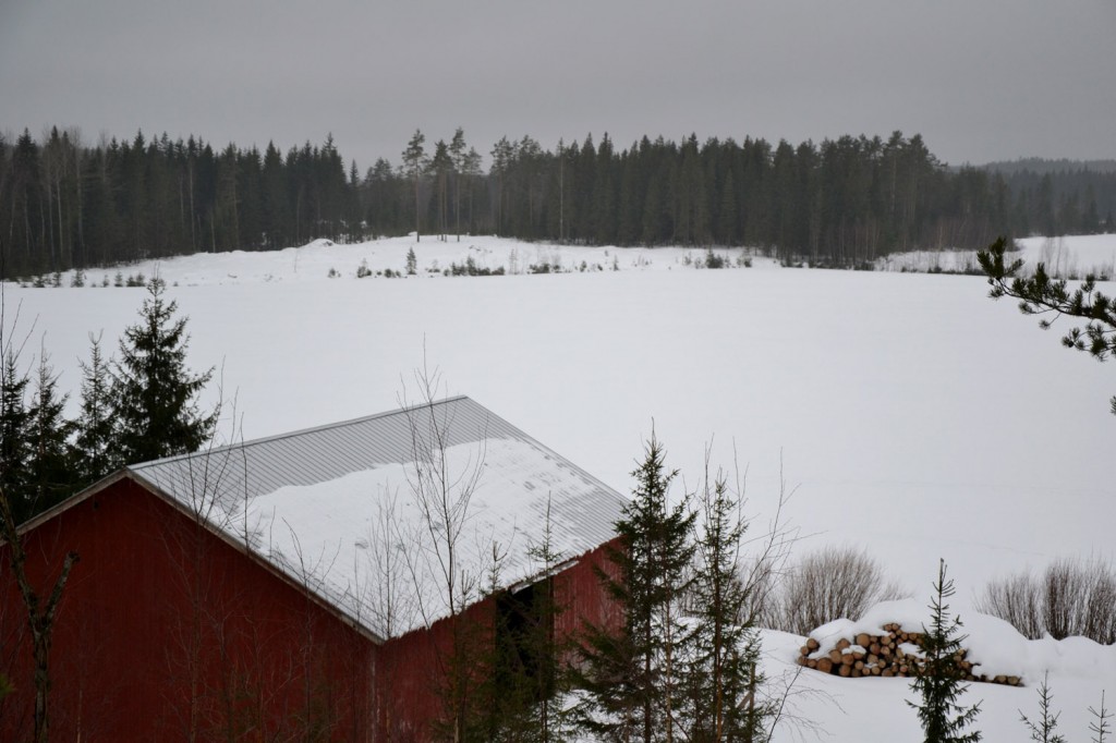 Ystävänpäivänä 2015 Jukola-pelto lepää lumipeitteen alla