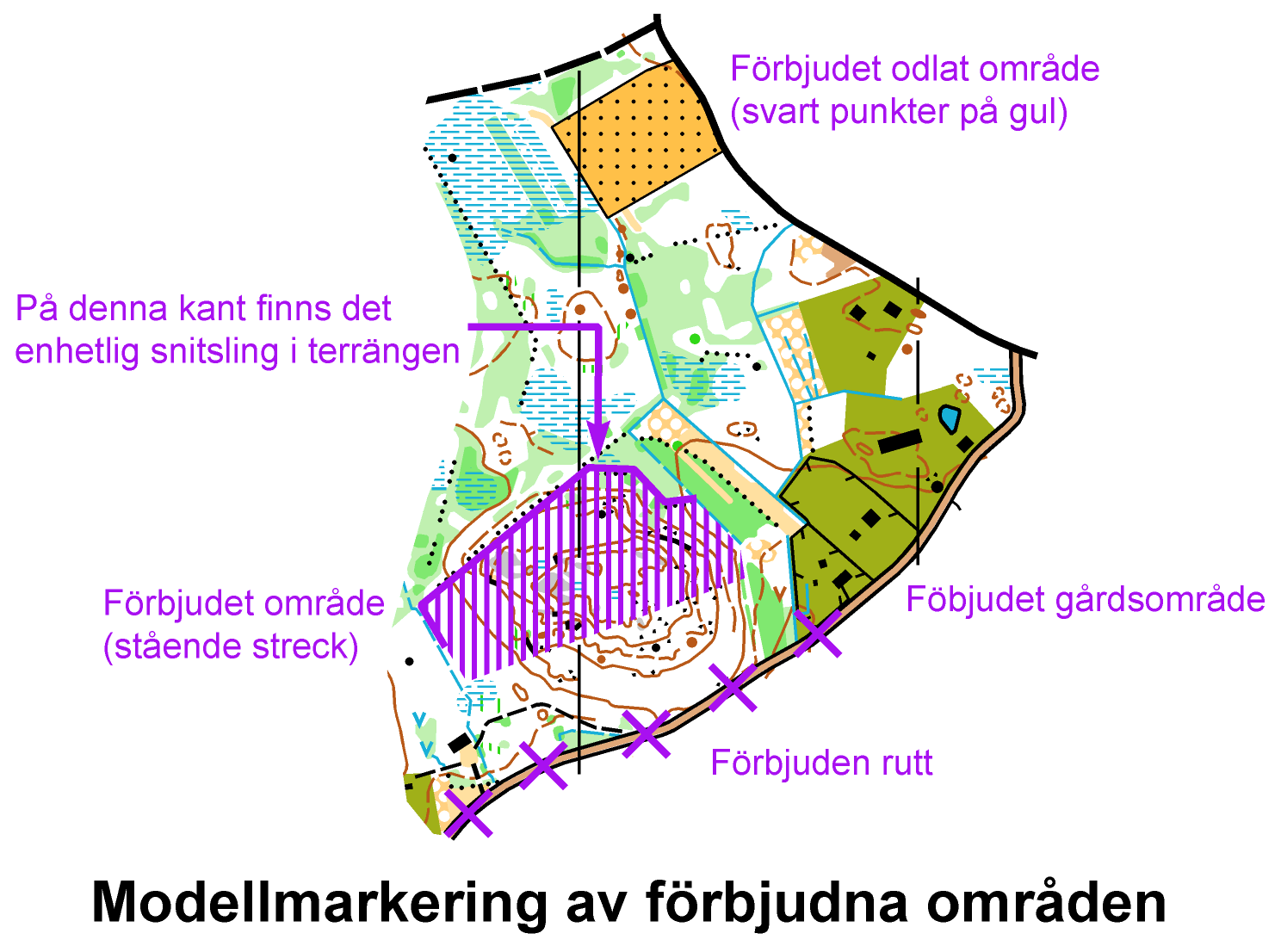 Mallikuva_kielletyistä_SWE.All
