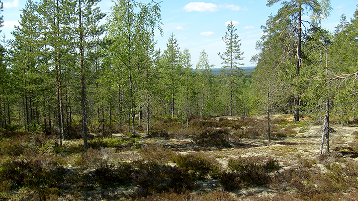 Maastokuvaus nettiin hienot näkymät135